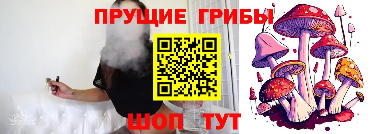Славгород  магазин    Вход с VPN  Псилоцибиновые грибы Psilocybe 