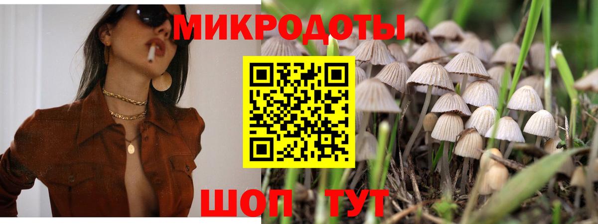 Псилоцибиновые грибы MAGIC MUSHROOMS Славгород
